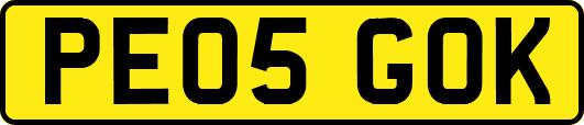 PE05GOK