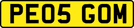 PE05GOM