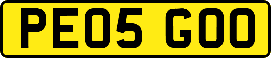 PE05GOO