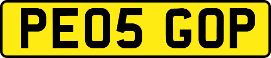 PE05GOP