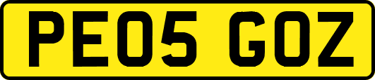 PE05GOZ
