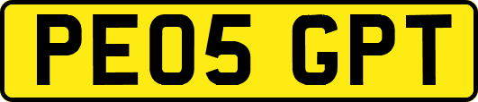 PE05GPT