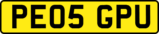 PE05GPU