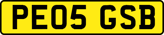 PE05GSB