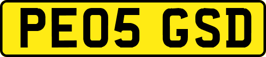 PE05GSD