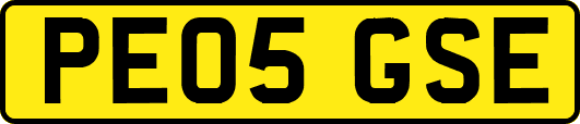 PE05GSE