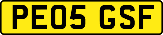 PE05GSF