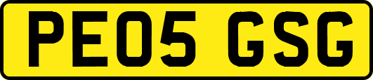PE05GSG