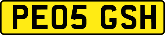 PE05GSH