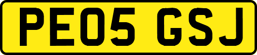 PE05GSJ