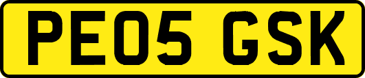 PE05GSK