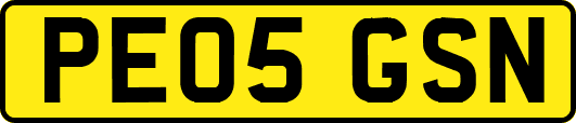 PE05GSN