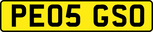 PE05GSO