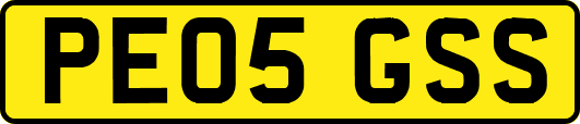 PE05GSS