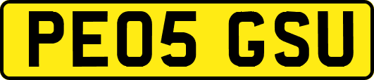 PE05GSU