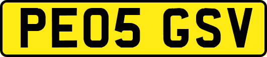 PE05GSV