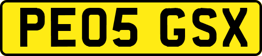 PE05GSX