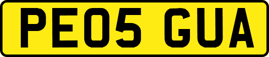 PE05GUA