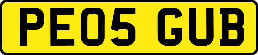 PE05GUB
