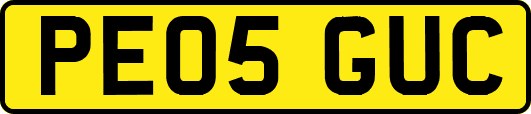 PE05GUC