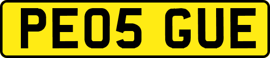 PE05GUE