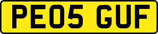 PE05GUF