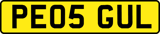 PE05GUL