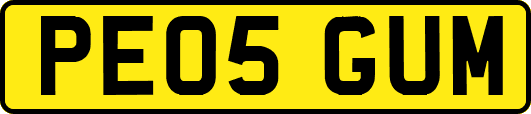 PE05GUM