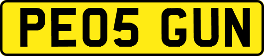 PE05GUN