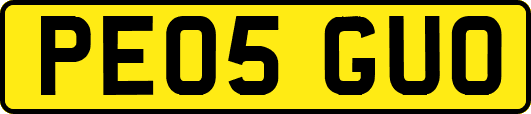 PE05GUO
