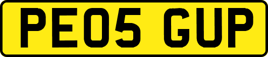 PE05GUP