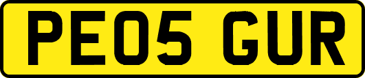 PE05GUR