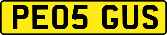 PE05GUS
