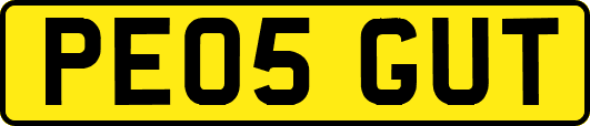 PE05GUT