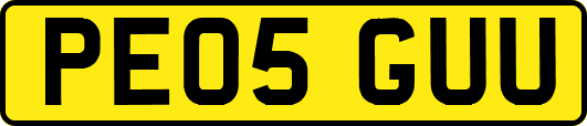 PE05GUU