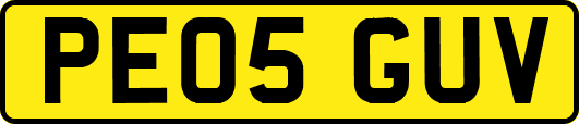 PE05GUV