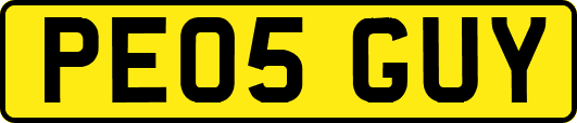 PE05GUY