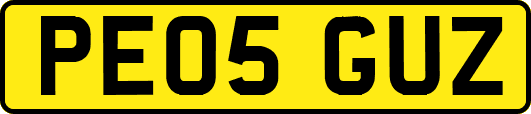 PE05GUZ