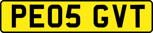 PE05GVT
