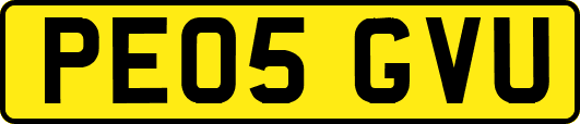 PE05GVU