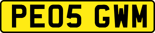 PE05GWM