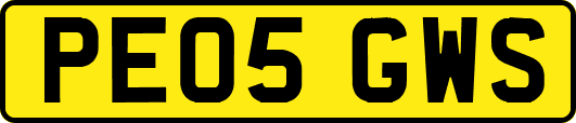 PE05GWS