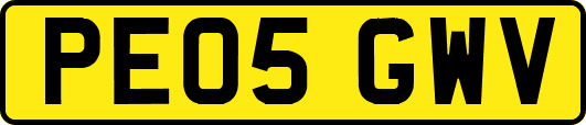 PE05GWV