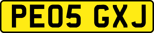 PE05GXJ