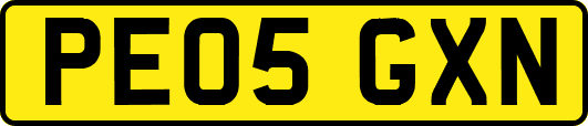 PE05GXN