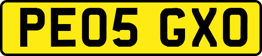 PE05GXO