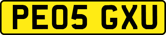 PE05GXU