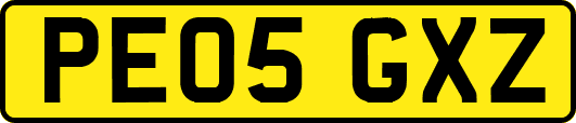 PE05GXZ