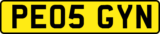 PE05GYN