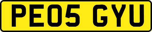 PE05GYU